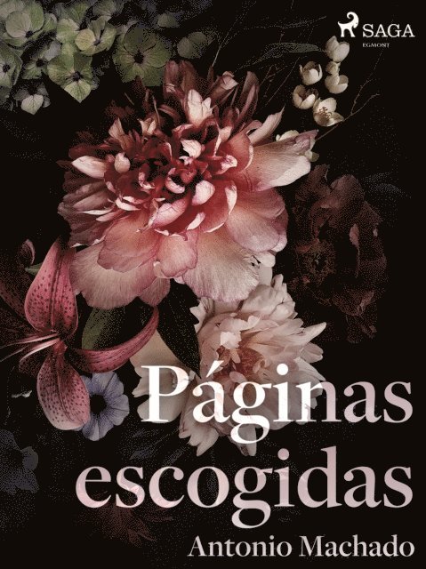 Antonio Machado - Páginas escogidas, E-bok