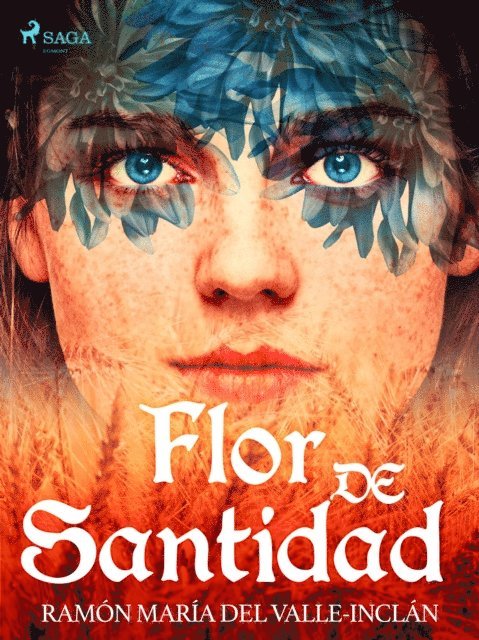 Ramon Maria del Valle-Inclan - Flor de Santidad, E-bok