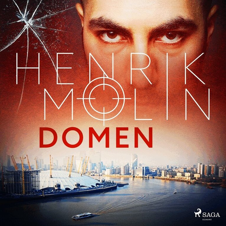 Henrik Molin - Domen, Ljudbok