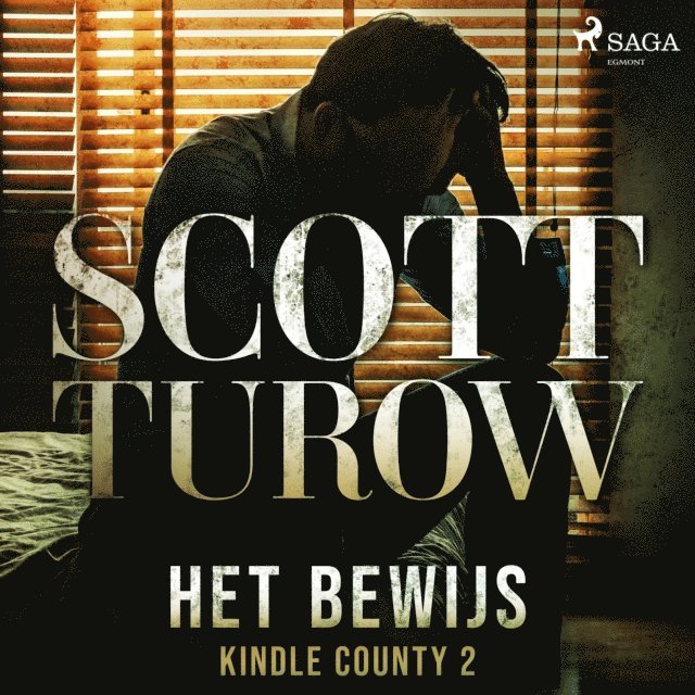 Turow - Het bewijs, Ljudbok