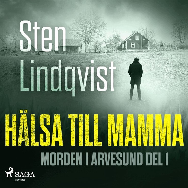 Sten Lindqvist - Hälsa till mamma, Ljudbok