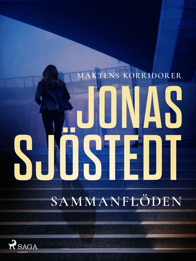 Jonas Sjöstedt - Sammanflöden, E-bok