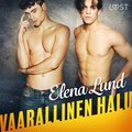 Vaarallinen halu - eroottinen novelli
