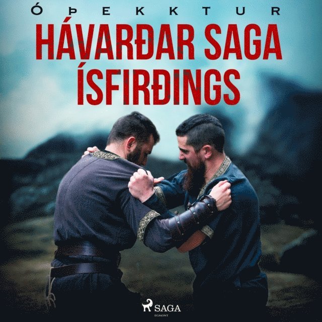 Oþekktur - Hávarðar saga Ísfirðings, Ljudbok