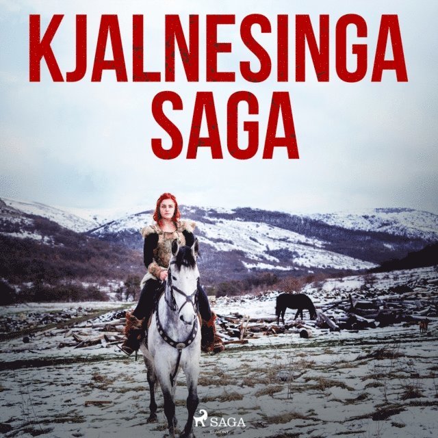 Oþekktur - Kjalnesinga saga, Ljudbok