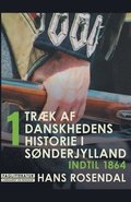 Traek af danskhedens historie i Sonderjylland. Bind 1. Indtil 1864