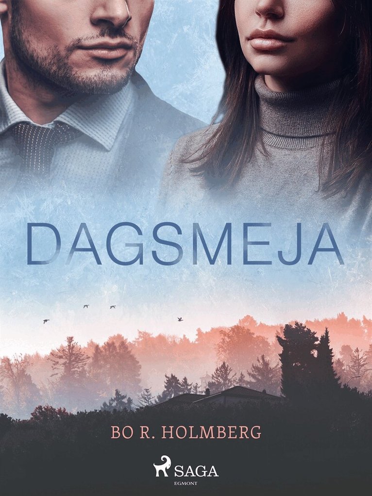 Bo R. Holmberg - Dagsmeja, E-bok