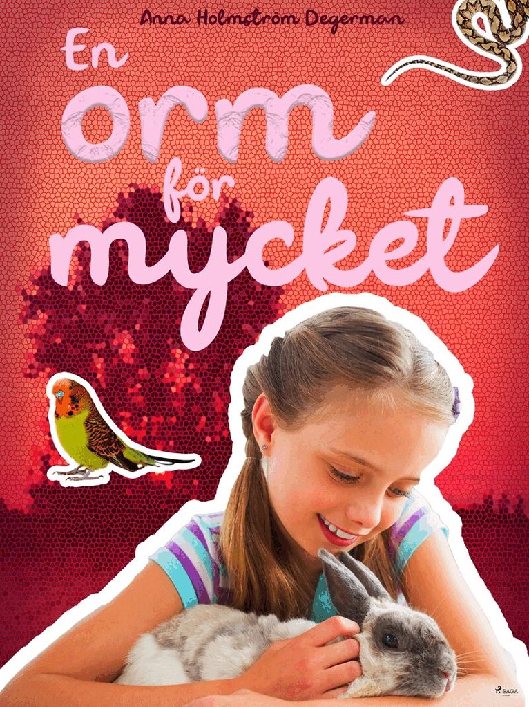 Anna Holmström Degerman - En orm för mycket, E-bok