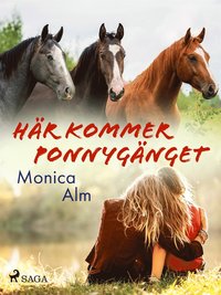 Hr kommer Ponnygnget