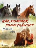 Hr kommer Ponnygnget