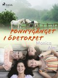 Ponnygnget i detorpet