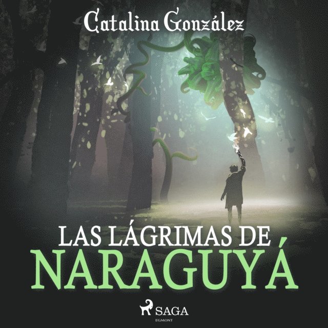 Gonzalez - Las lágrimas de Naraguyá, Ljudbok