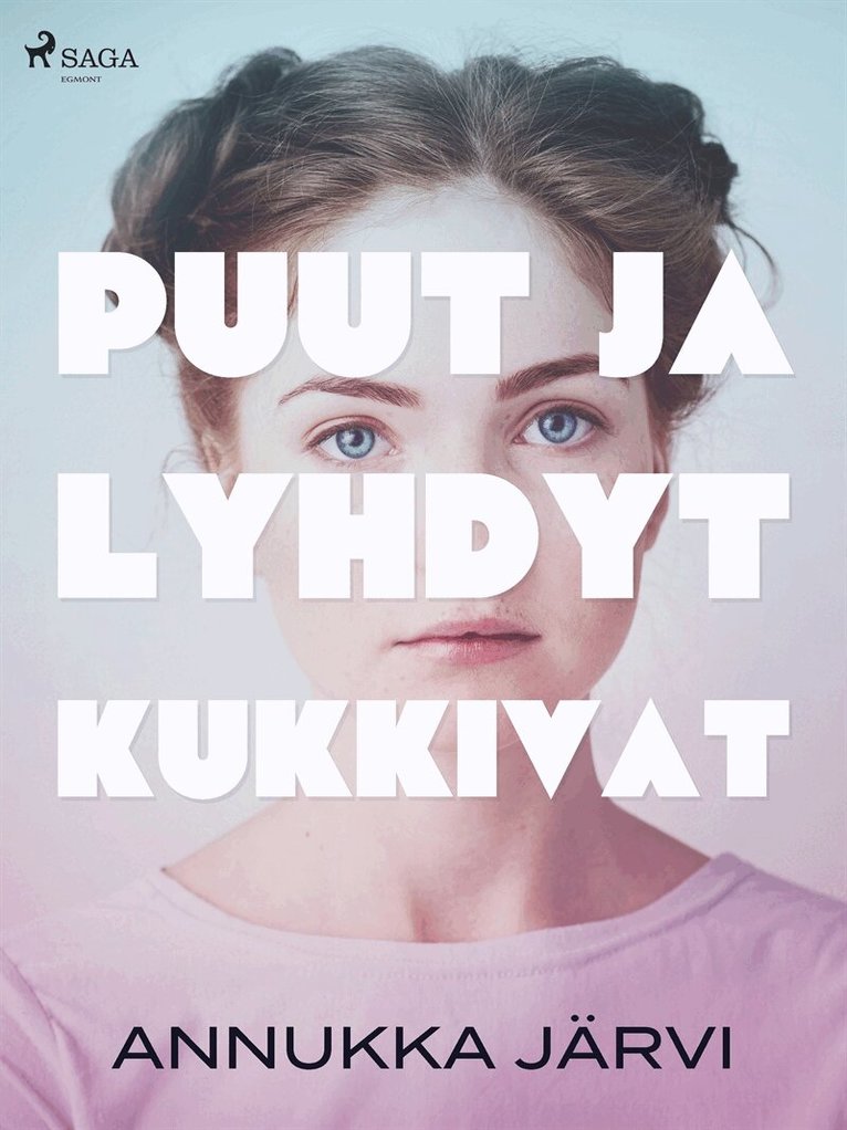 Annukka Järvi - Puut ja lyhdyt kukkivat, E-bok