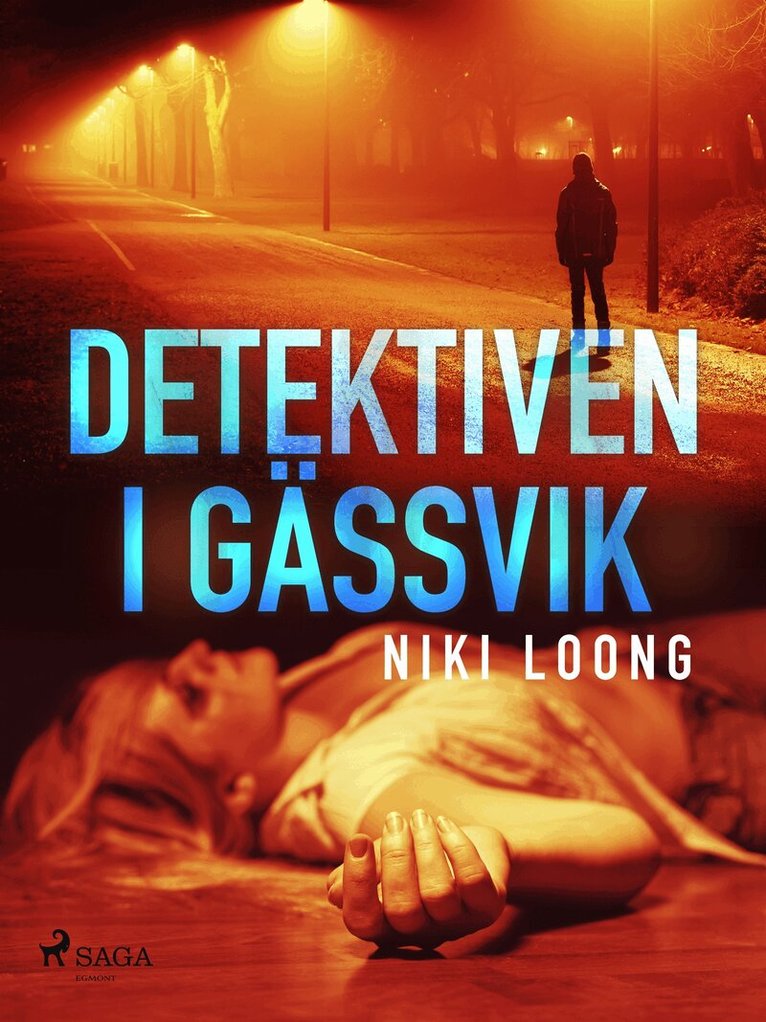 Niki Loong - Detektiven i Gässvik, E-bok