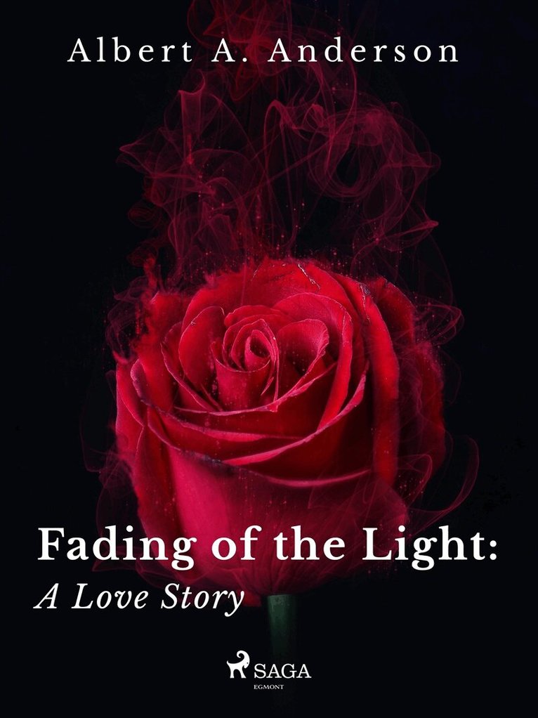 Albert A. Anderson - Fading of the Light: A Love Story, E-bok