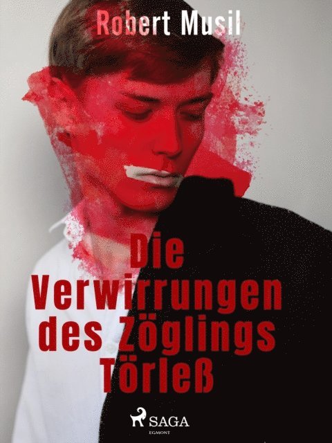 Robert Musil - Die Verwirrungen des Zöglings Törleß, E-bok