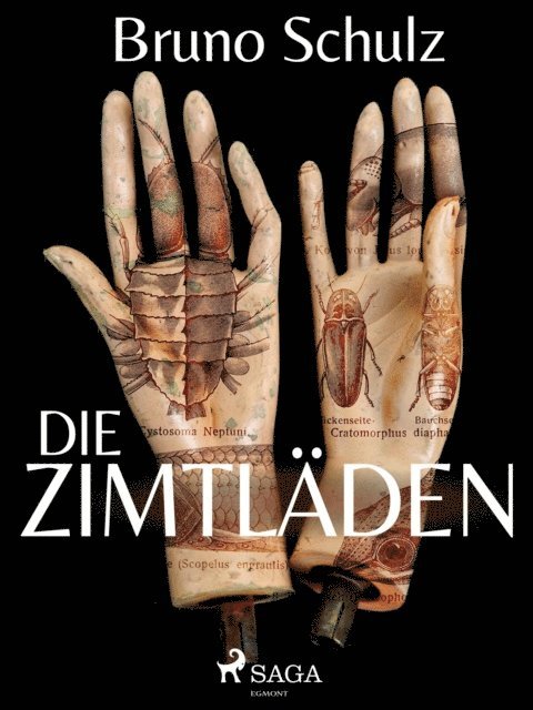 Bruno Schulz - Die Zimtläden, E-bok