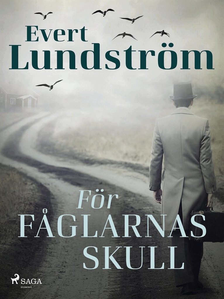 Evert Lundström - För fåglarnas skull, E-bok