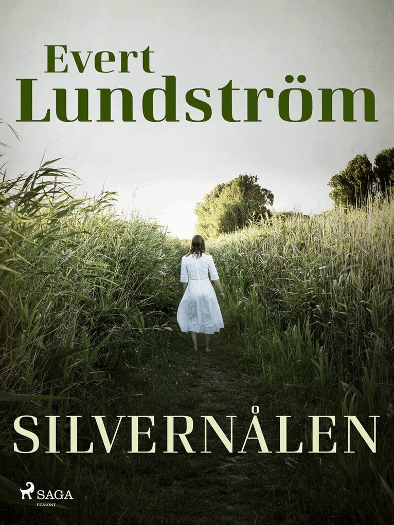 Evert Lundström - Silvernålen, E-bok