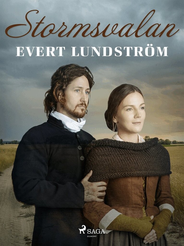 Evert Lundström - Stormsvalan, E-bok