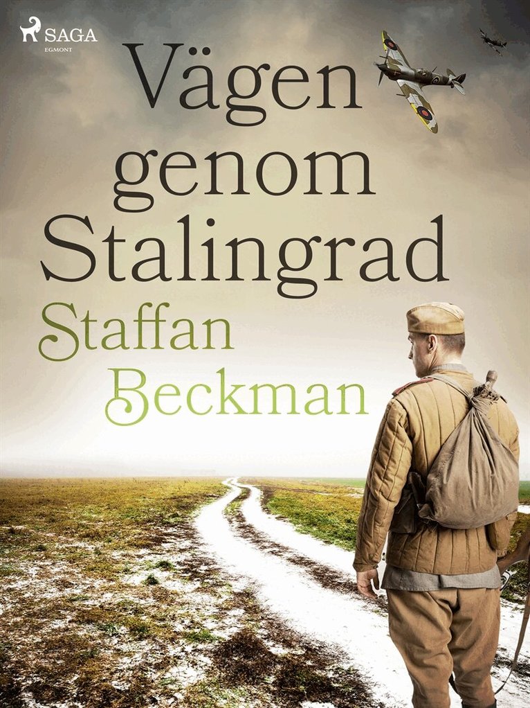 Alice Staffan Beckman - Vägen genom Stalingrad, E-bok