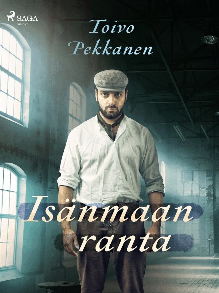 Toivo Pekkanen - Isänmaan ranta, E-bok