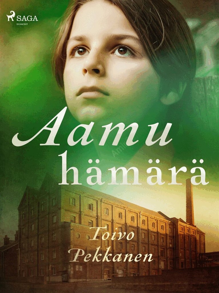 Toivo Pekkanen - Aamuhämärä, E-bok