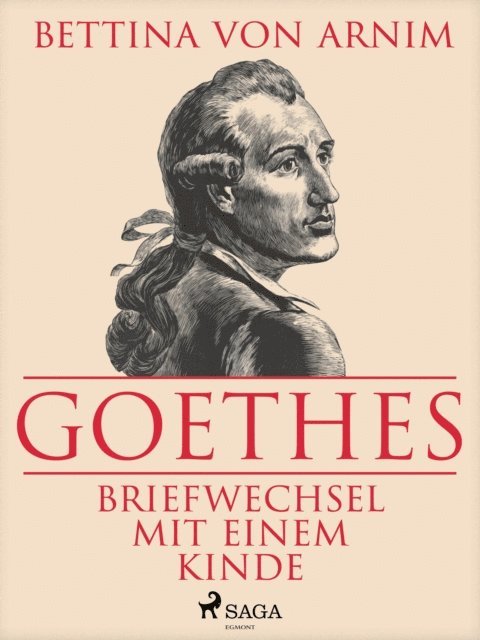 Bettine von Arnim - Goethes Briefwechsel mit einem Kinde, E-bok