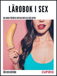 Lärobok i sex - och andra förförisk erotiska noveller från Cupido
