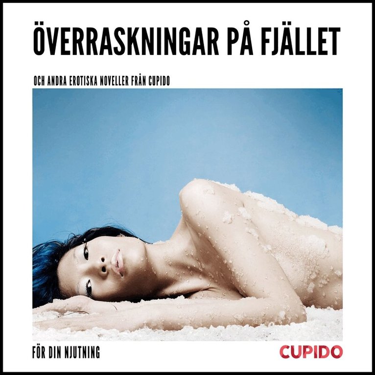 Cupido - Överraskningar på fjället – och andra erotiska noveller från Cupido, Ljudbok