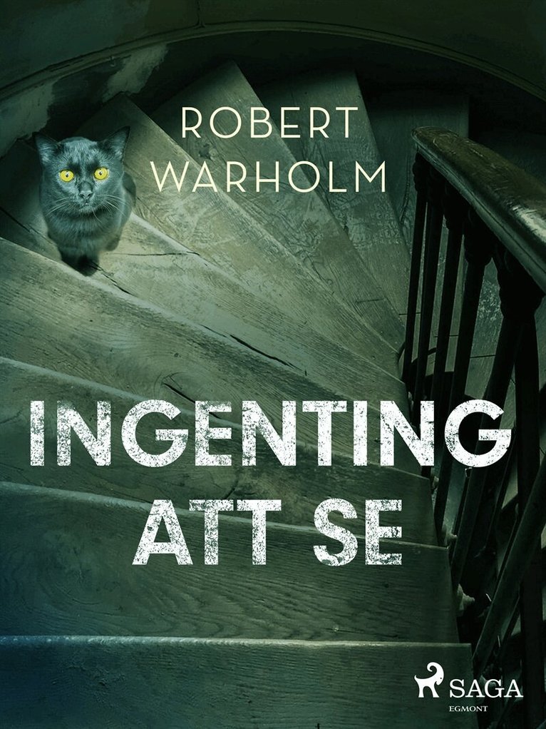 Robert Warholm - Ingenting att se, E-bok