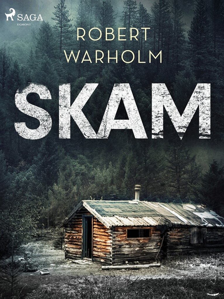 Robert Warholm - Skam, E-bok
