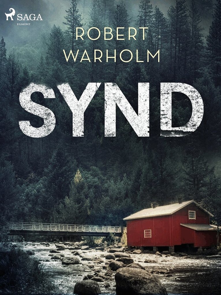 Robert Warholm - Synd, E-bok