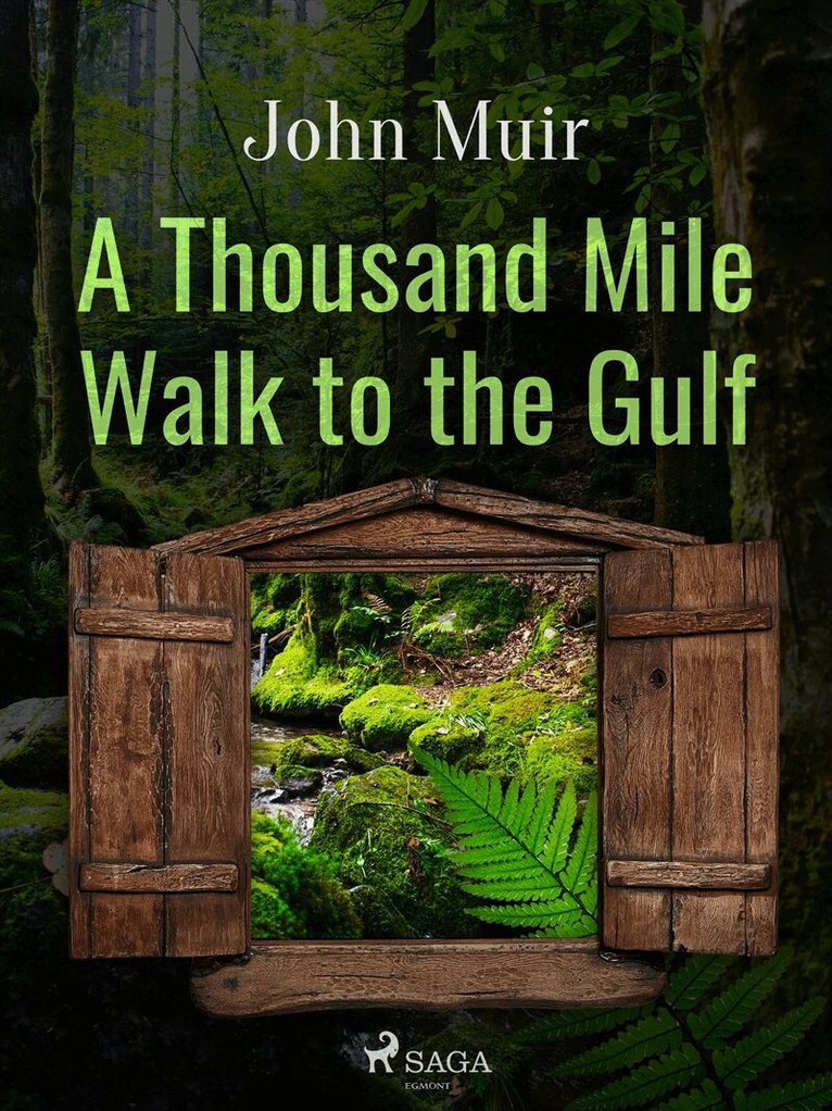 John Muir - A Thousand Mile Walk to the Gulf, E-bok