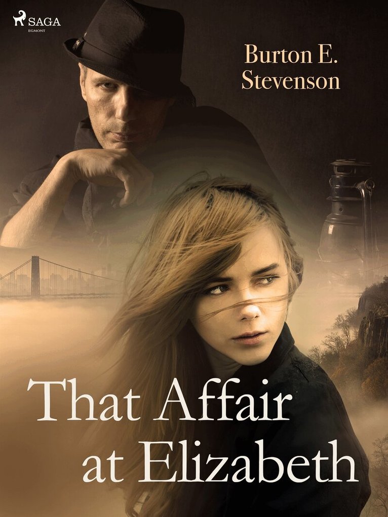 Burton E. Stevenson - That Affair at Elizabeth, E-bok