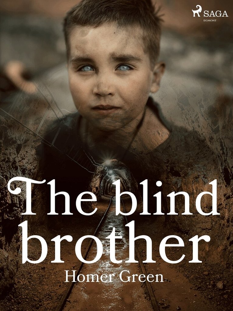 Homer Green - The Blind Brother, E-bok