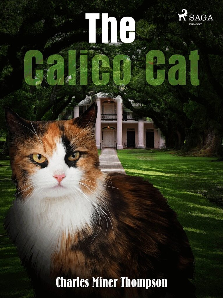 Charles Miner Thompson - The Calico Cat, E-bok