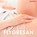 Flygresan - erotiska noveller