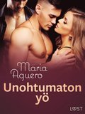 Unohtumaton y ? eroottinen novelli
