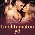 Unohtumaton y ? eroottinen novelli