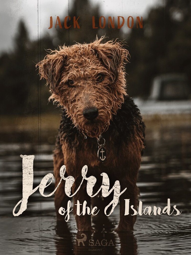 Jack London - Jerry of the Islands, E-bok