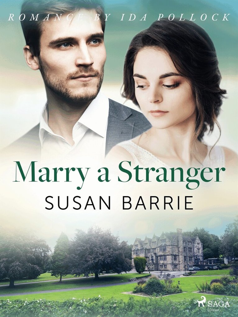 Susan Barrie - Marry a Stranger, E-bok