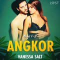Angkor osat 1?3: eroottinen novellikokoelma