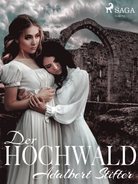 Adalbert Stifter - Der Hochwald, E-bok