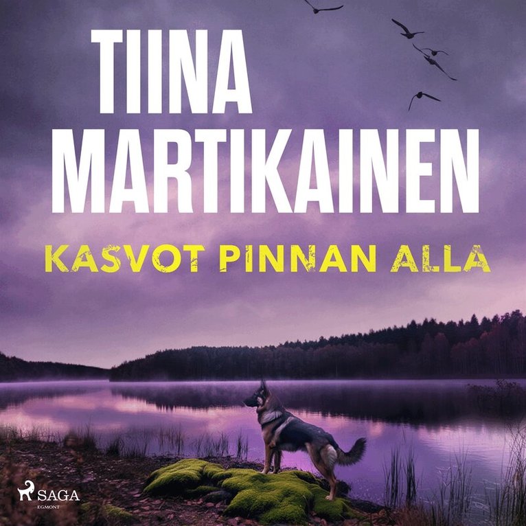 Tiina Martikainen - Kasvot pinnan alla, Ljudbok