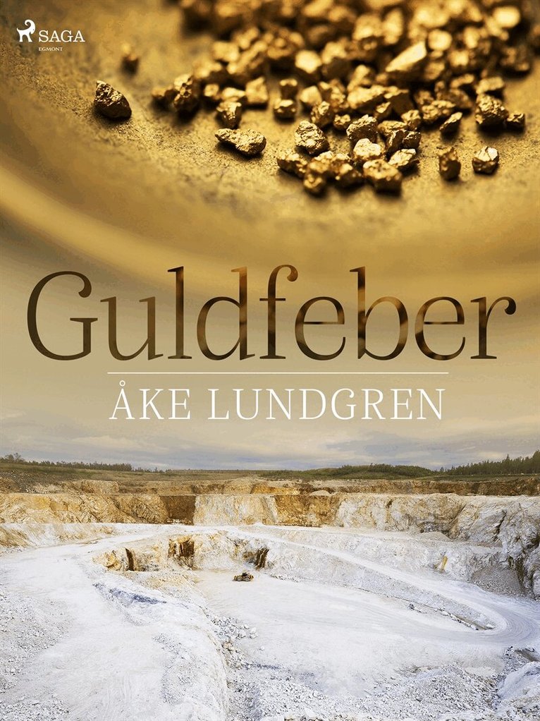 Åke Lundgren - Guldfeber, E-bok