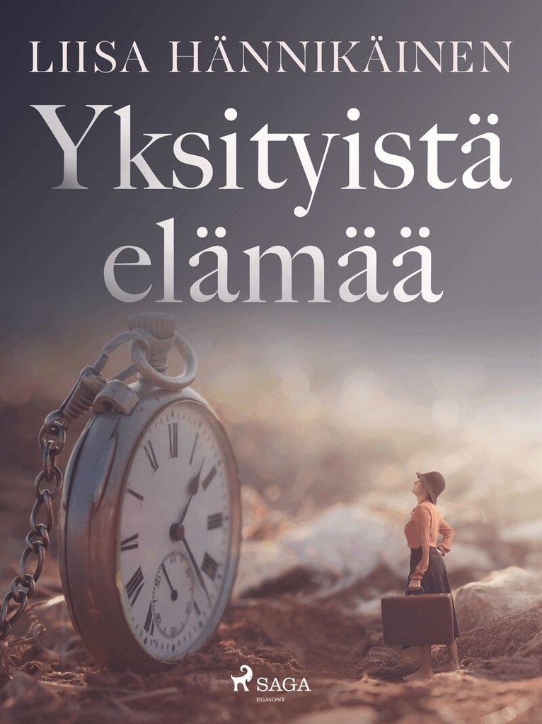 Liisa Hännikäinen - Yksityistä elämää, E-bok