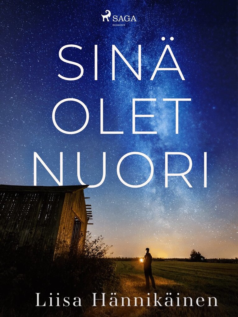 Liisa Hännikäinen - Sinä olet nuori, E-bok