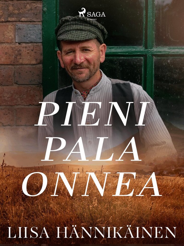 Liisa Hännikäinen - Pieni pala onnea, E-bok