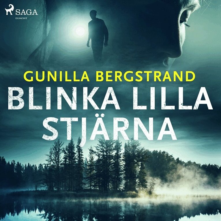 Gunilla Bergstrand - Blinka lilla stjärna, Ljudbok